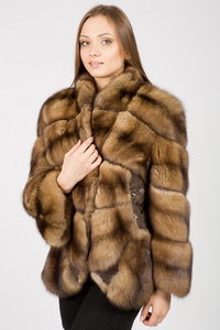 Выставка меха 2012: мы узнаем, что будет модно! Выставка меха 2012: мы узнаем, что будет модно!