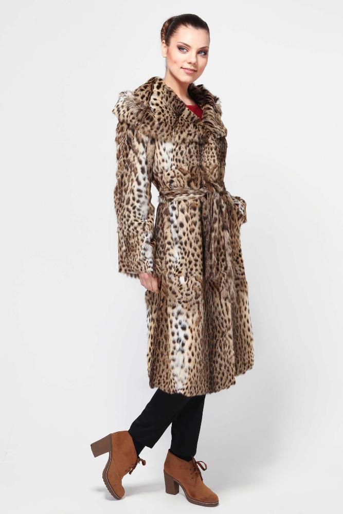 Камышовый кот – демократичный родственник рыси Камышовый кот – демократичный родственник рыси